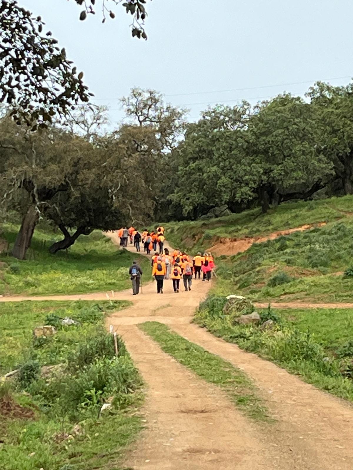 Ruta Cementerio Cazalla - Llano Moreno