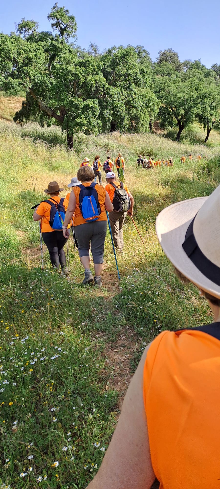 Iniciando el sendero