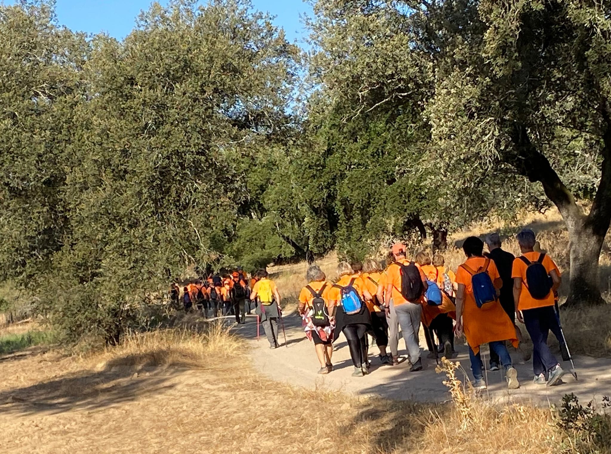Ruta El Pedroso - Las Jarillas -  Camino de Almadén