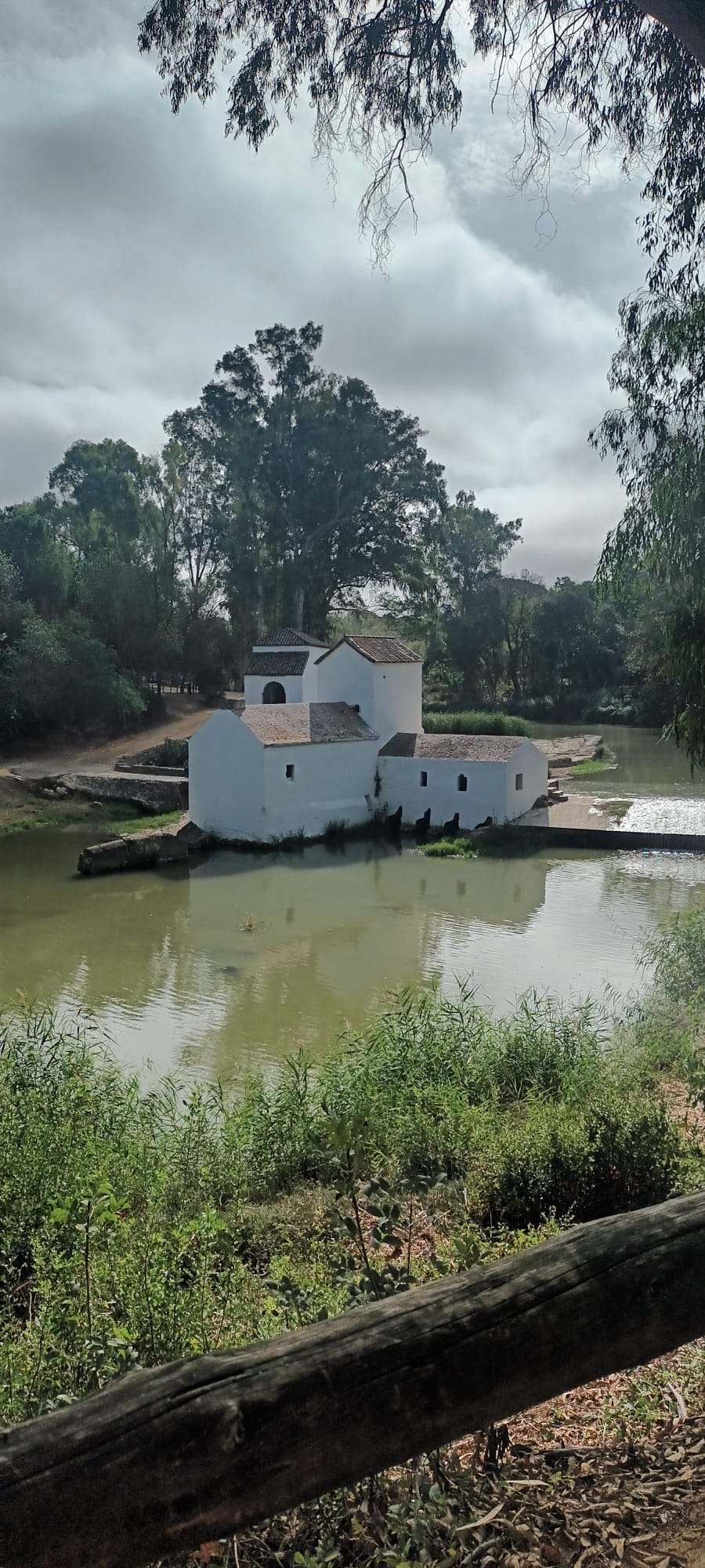 Foto sendero Pinares de Oromana