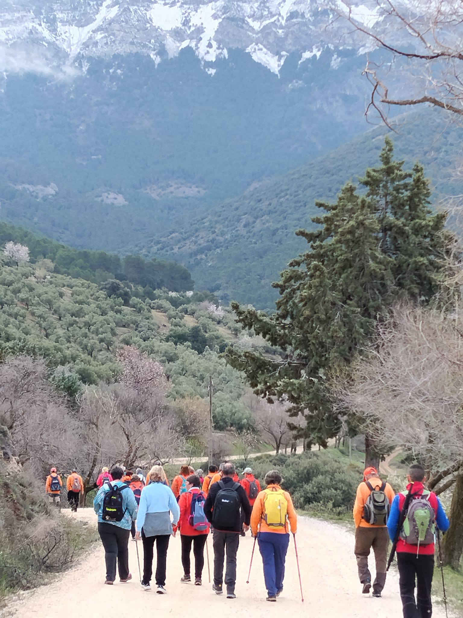 Foto dirección Fuenmayor